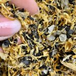 Amethyst Bedeutung und Wirkung 74 Seelenbewusst