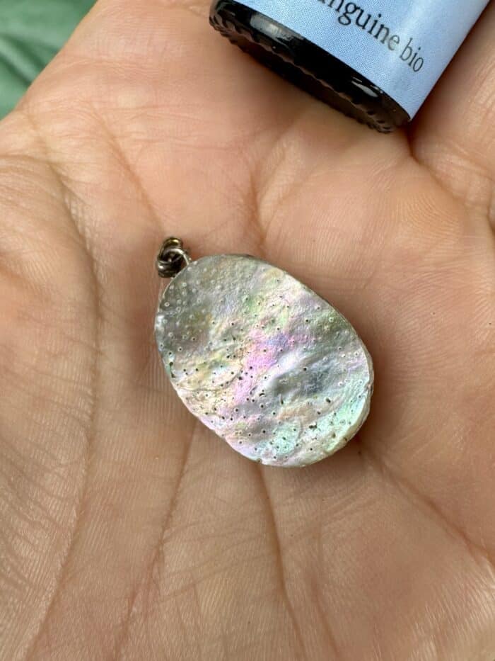 Regenbogen Abalone Muschel Anhänger – Kraft des Ozeans 1 Seelenbewusst